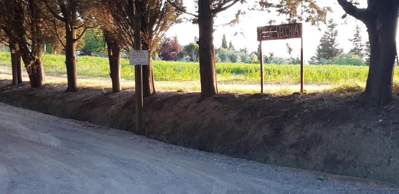 Apartamento La Casa Della Pieve Vecchia Marmigliaio Exterior foto